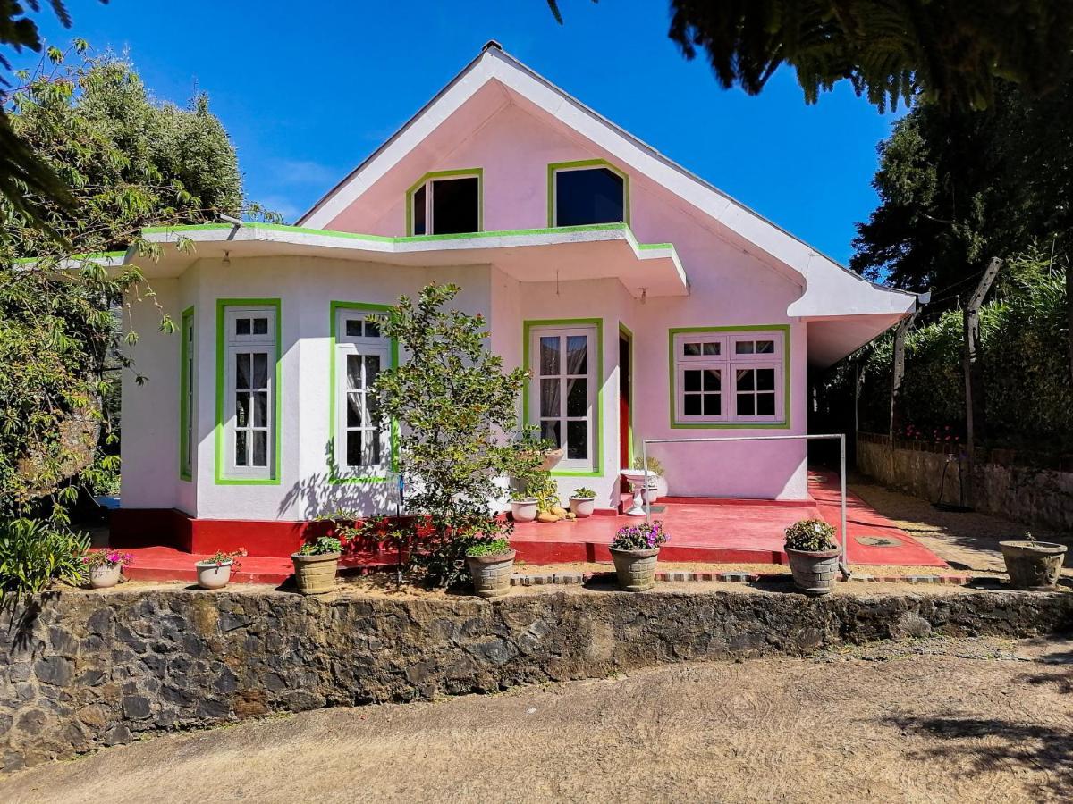Nuwara Eliya Mountain View Homestay Ngoại thất bức ảnh