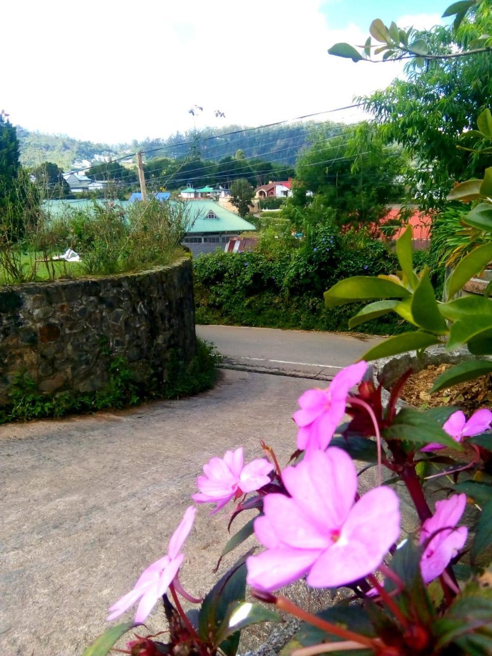 Nuwara Eliya Mountain View Homestay Ngoại thất bức ảnh