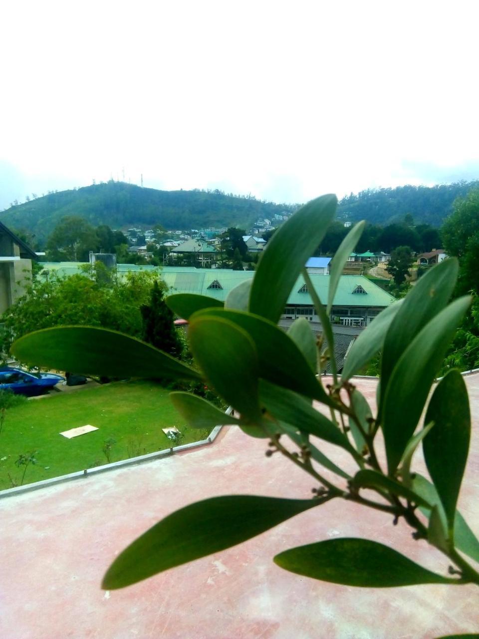 Nuwara Eliya Mountain View Homestay Ngoại thất bức ảnh