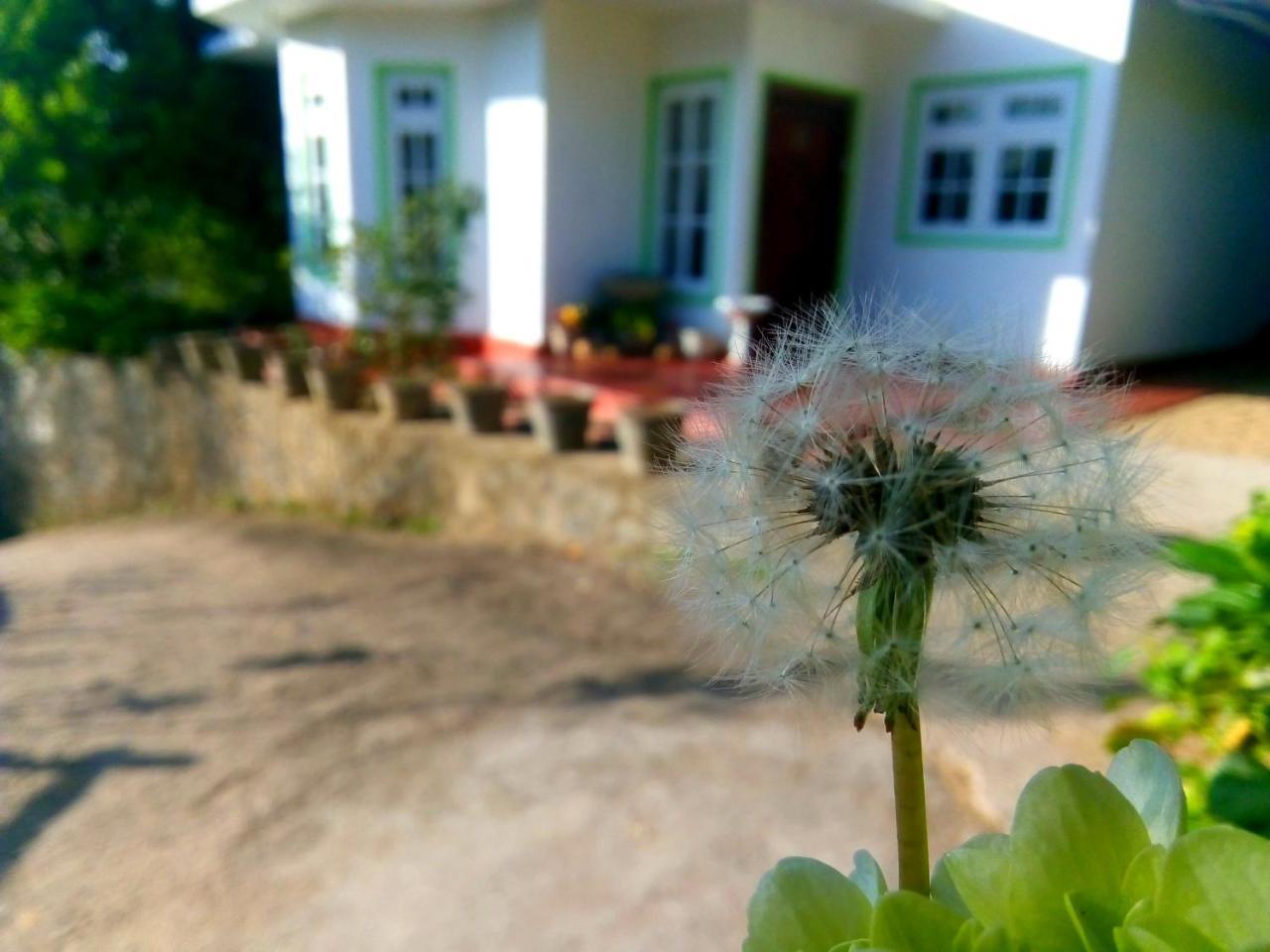 Nuwara Eliya Mountain View Homestay Ngoại thất bức ảnh