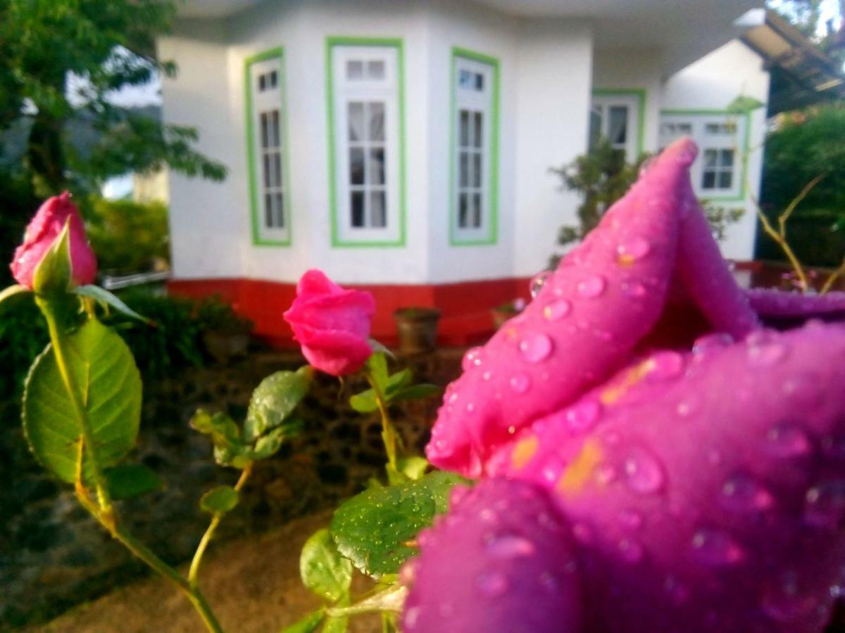 Nuwara Eliya Mountain View Homestay Ngoại thất bức ảnh
