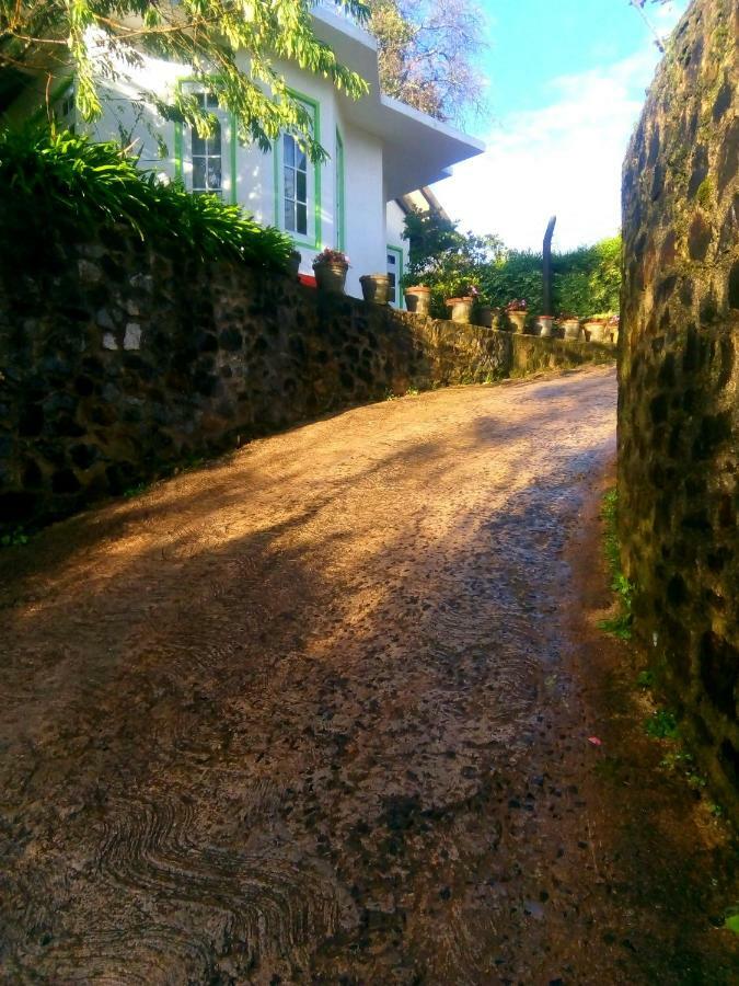 Nuwara Eliya Mountain View Homestay Ngoại thất bức ảnh